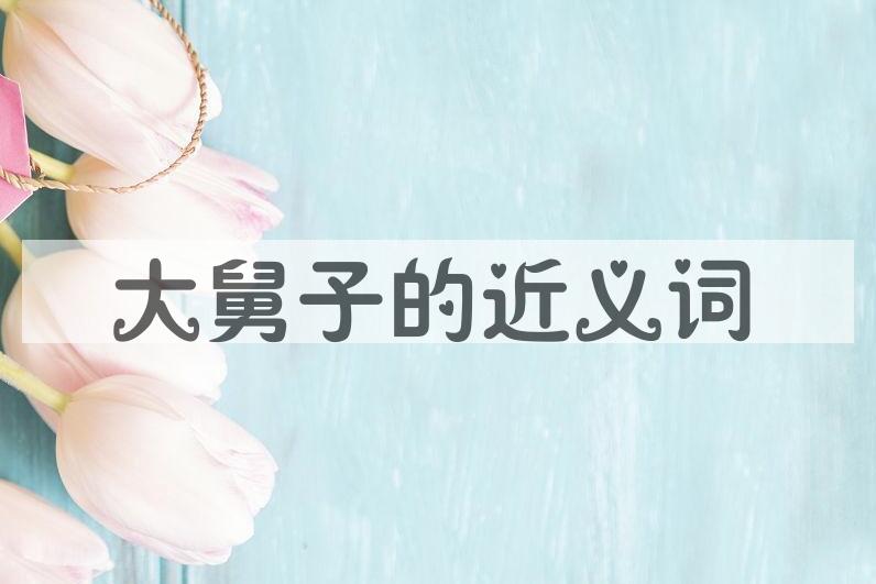 用大舅子造句
