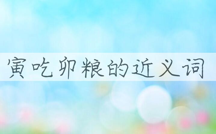 用寅吃卯粮造句