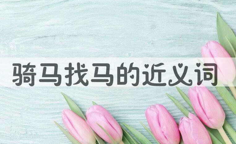 用骑马找马造句