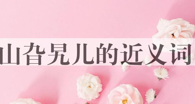 用山旮旯儿造句