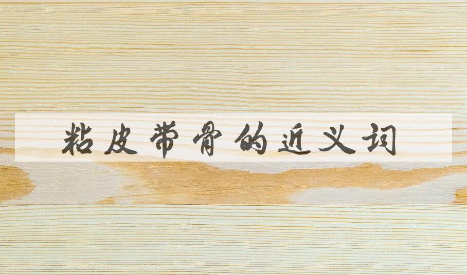 用粘皮带骨造句