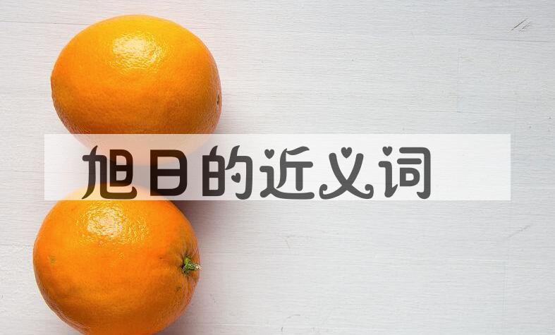 用旭日造句