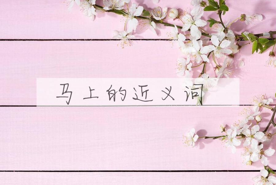 用马上造句