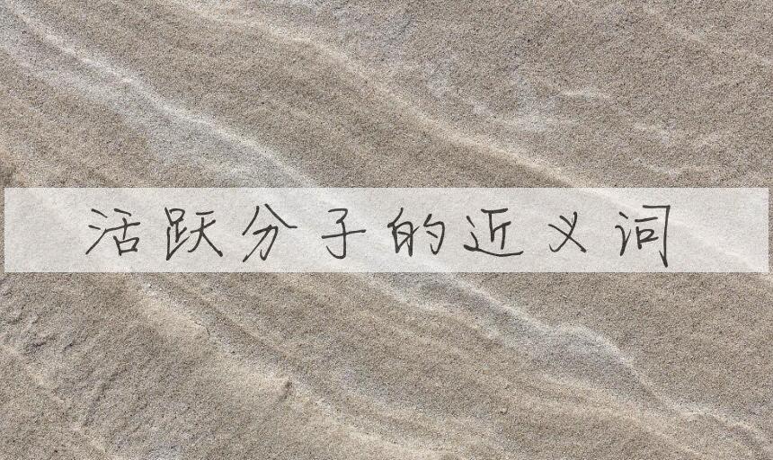 用活跃分子造句