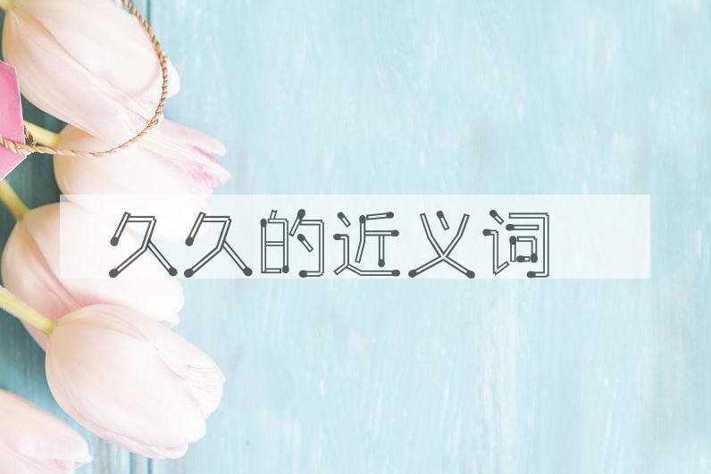 用久久造句