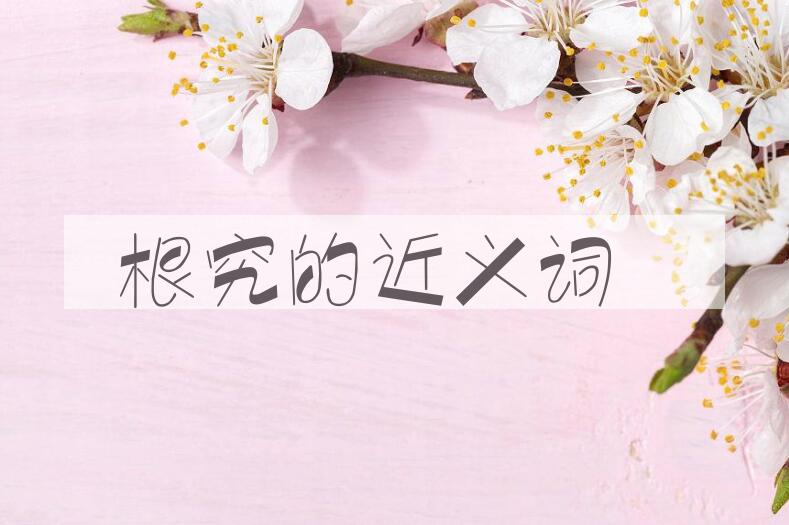 用根究造句