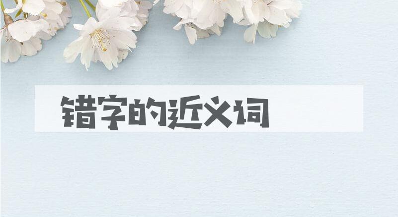 用错字造句
