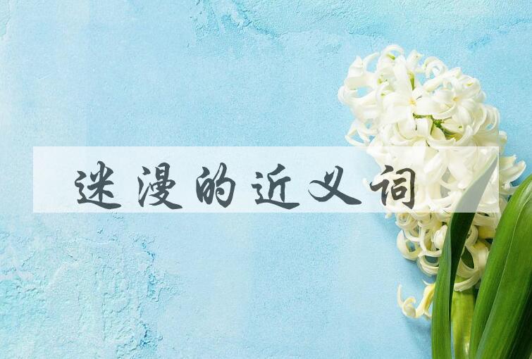 用迷漫造句