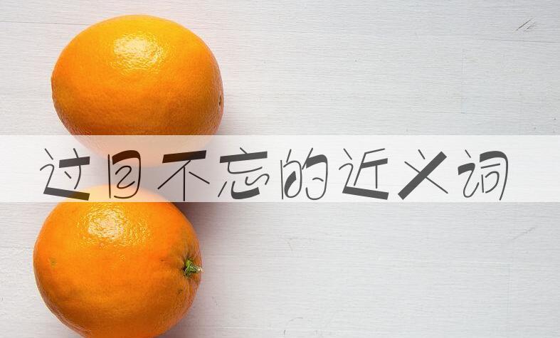 用过目不忘造句
