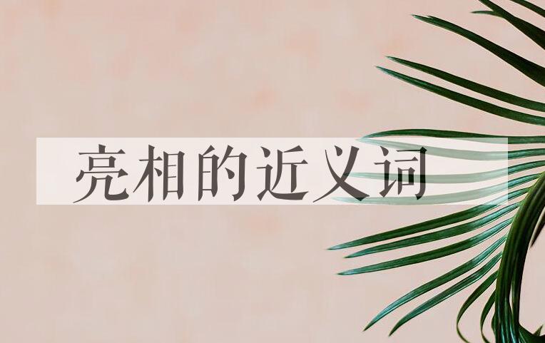 用亮相造句