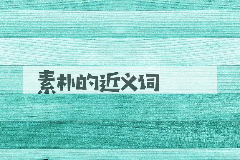 用素朴造句
