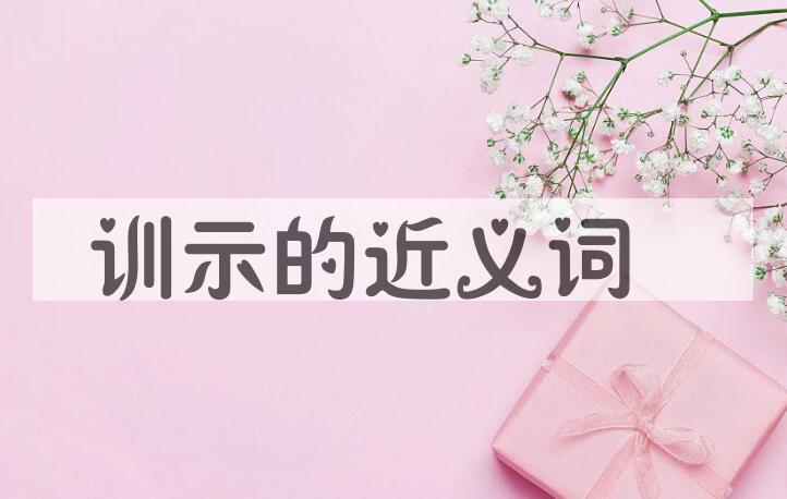用训示造句