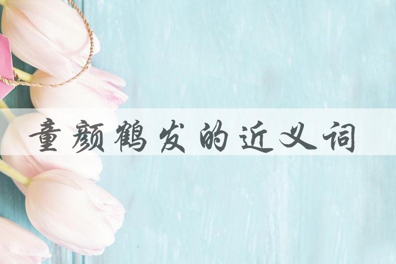用童颜鹤发造句