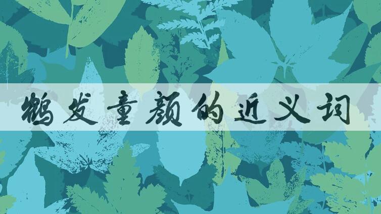 用鹤发童颜造句