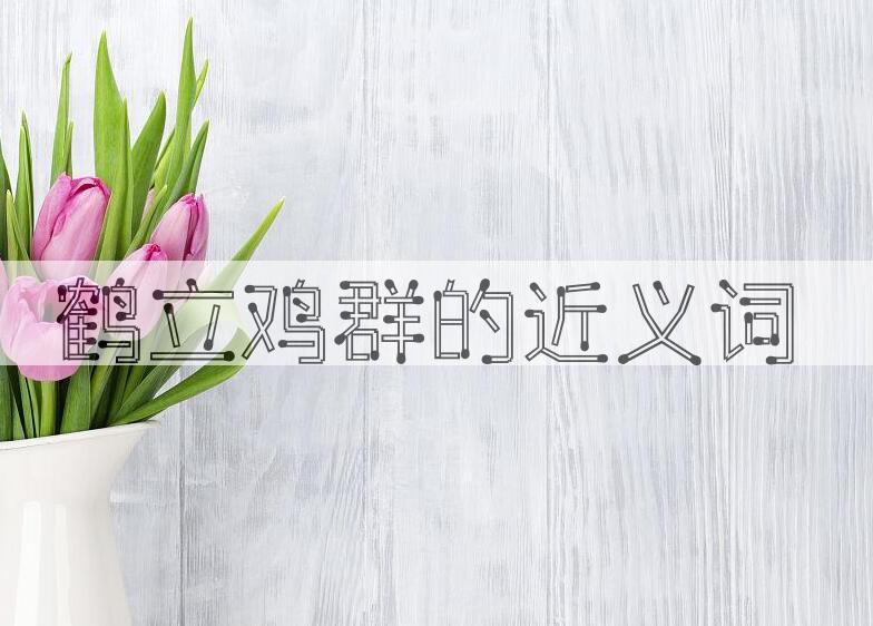 用鹤立鸡群造句