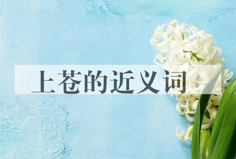用上苍造句