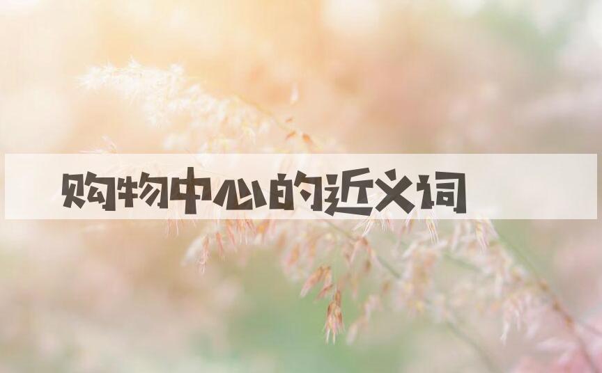 用购物中心造句