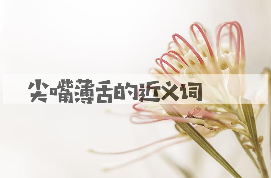 用尖嘴薄舌造句