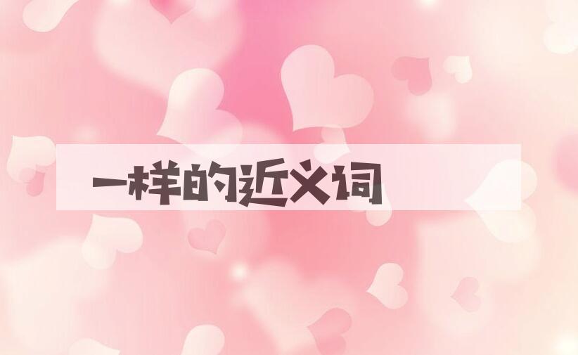 用一样造句