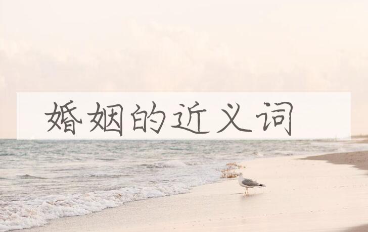 用婚姻造句