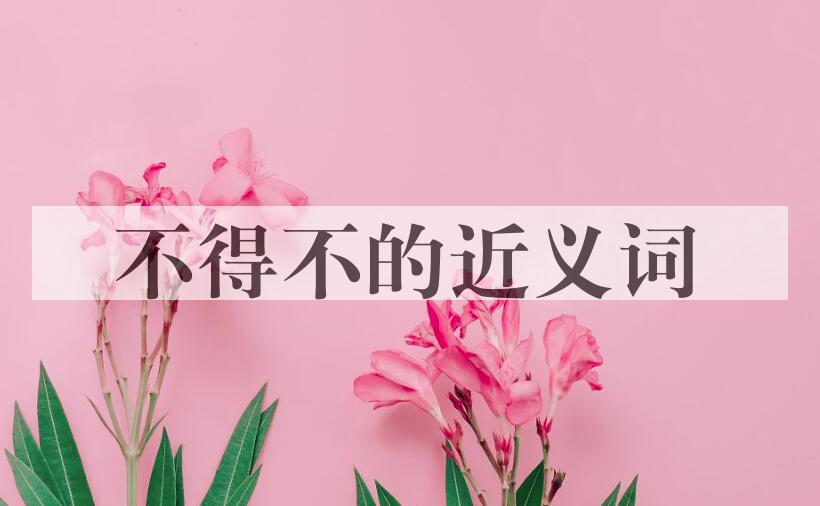 用不得不造句