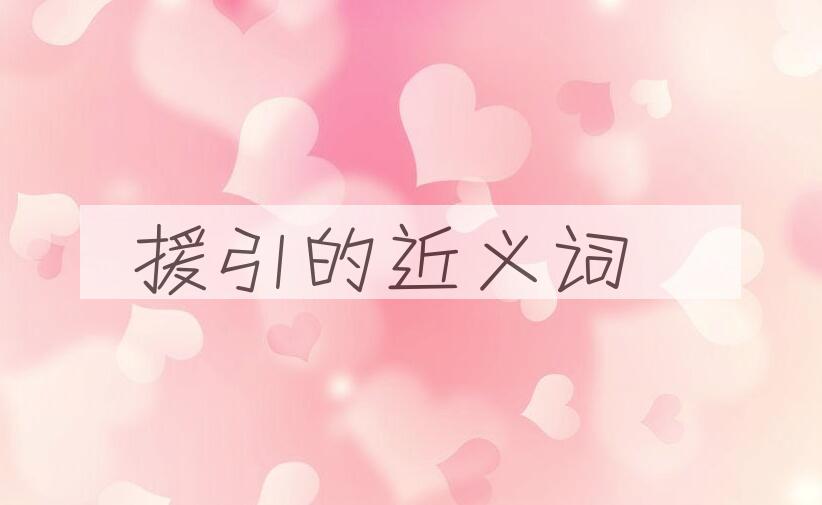 用援引造句