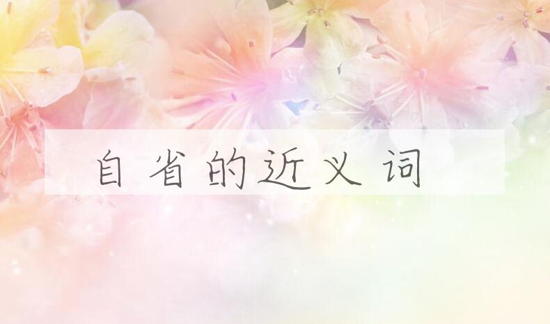 用自省造句