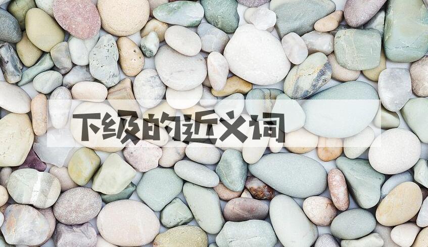 用下级造句
