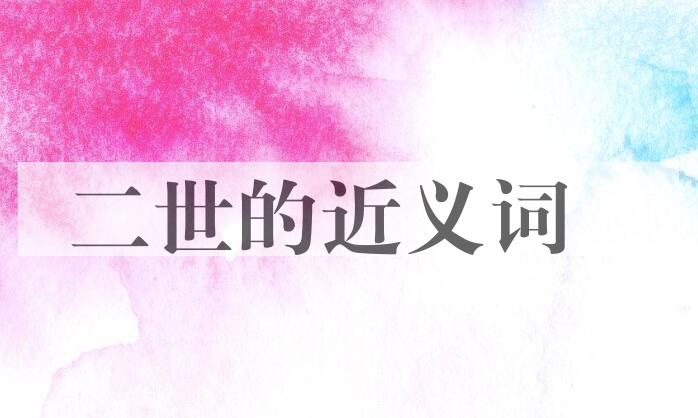 用二世造句
