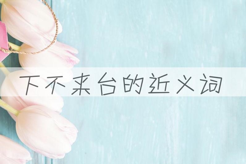 用下不来台造句