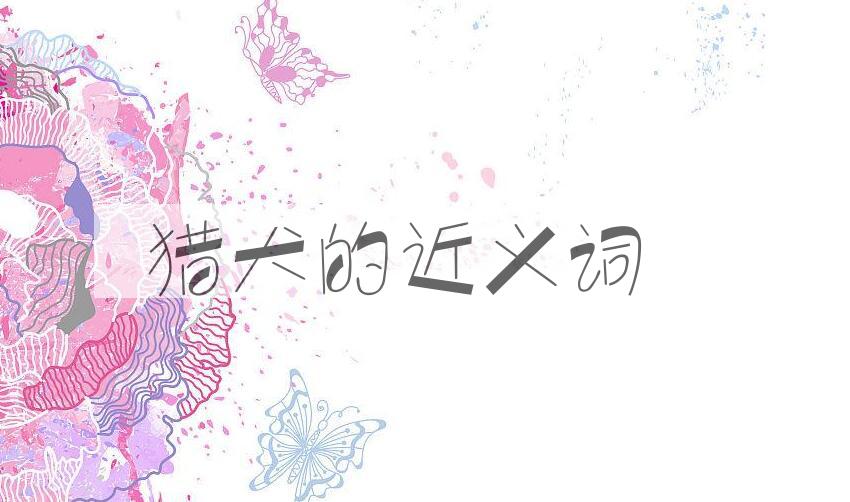 用猎犬造句