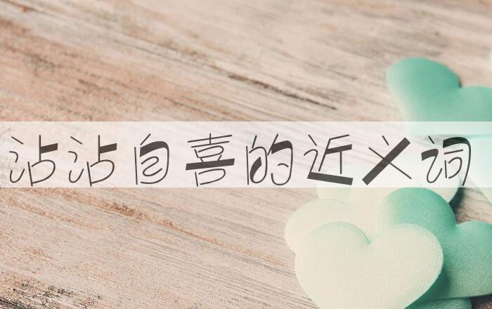 用沾沾自喜造句