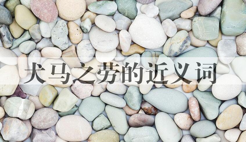 用犬马之劳造句