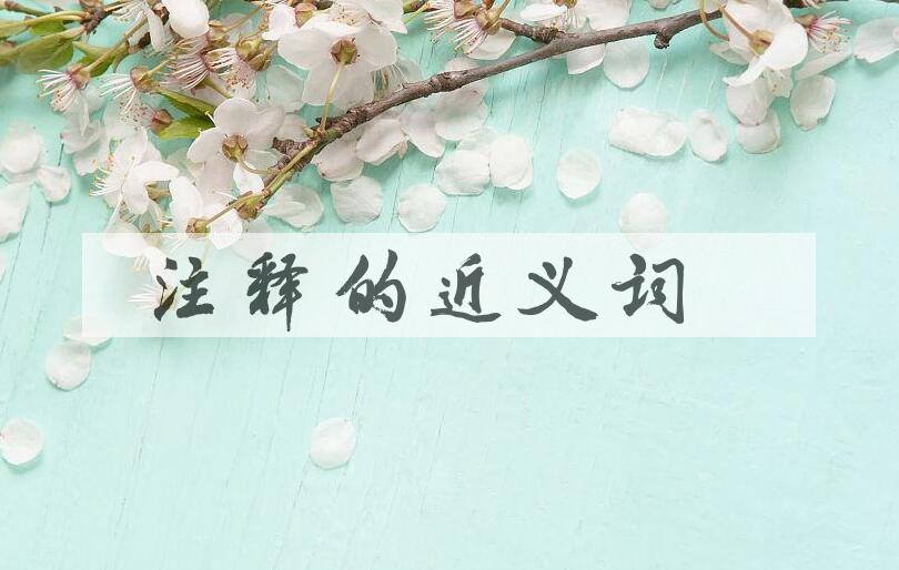用注释造句