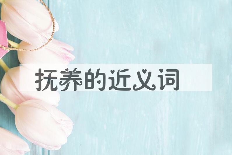 用抚养造句