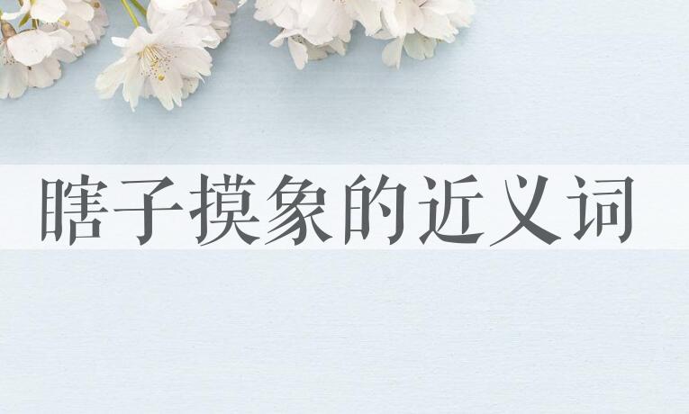 用瞎子摸象造句
