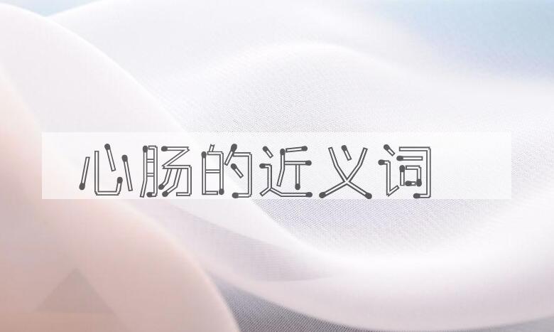 用心肠造句