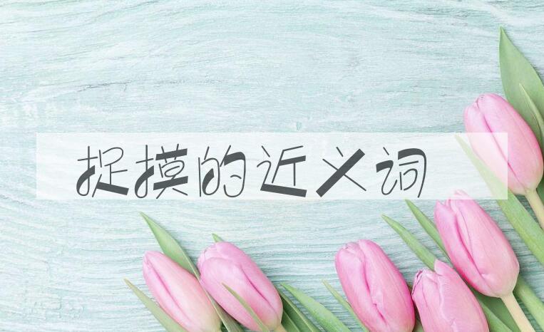 用捉摸造句