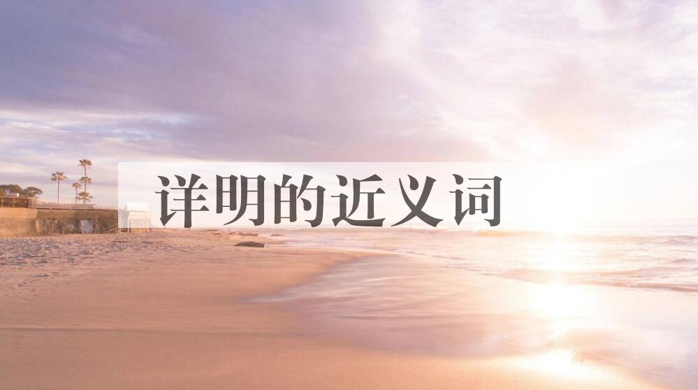 用详明造句