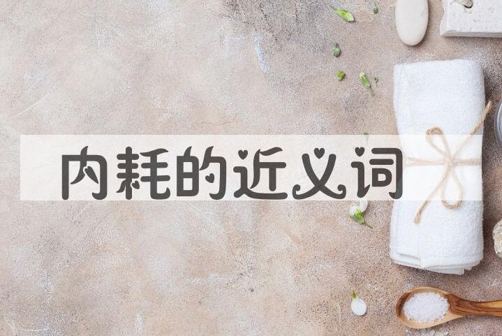 用内耗造句