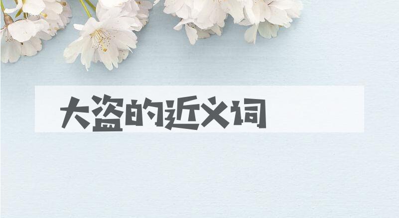 用大盗造句
