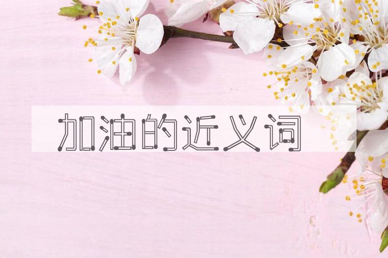 用加油造句