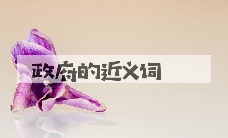 用政府造句