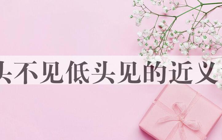 用抬头不见低头见造句