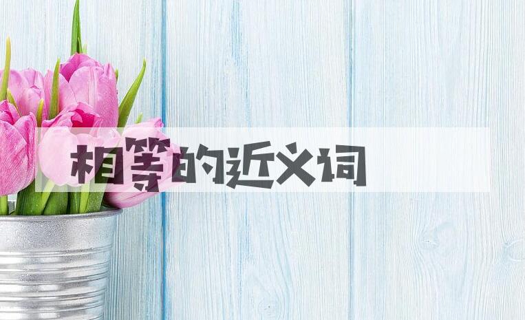 用相等造句