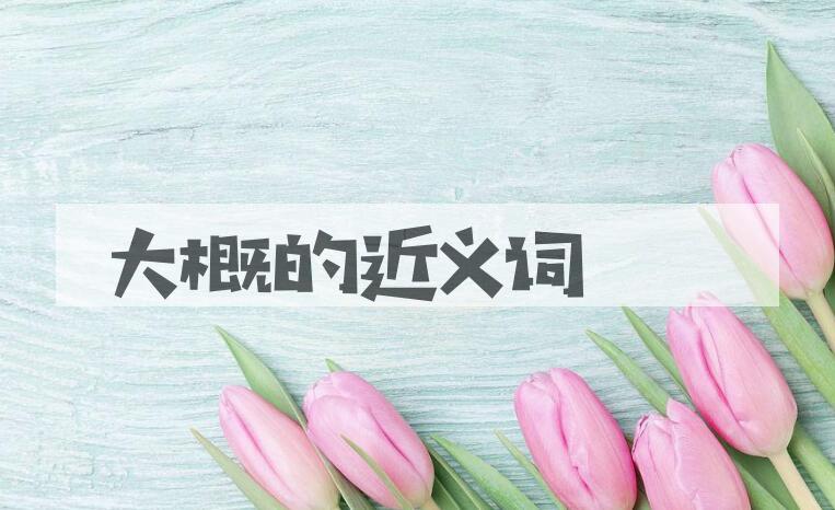 用大概造句