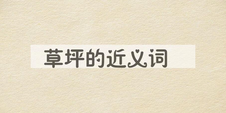 用草坪造句
