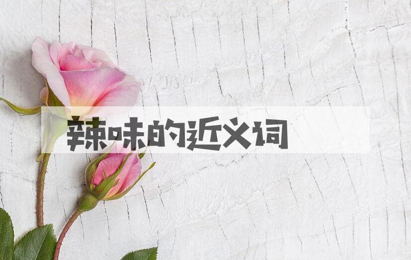 用辣味造句