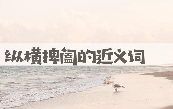 用纵横捭阖造句