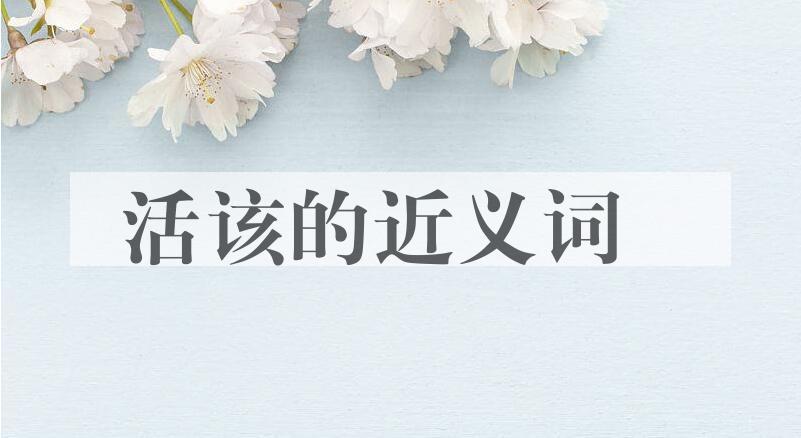 用活该造句